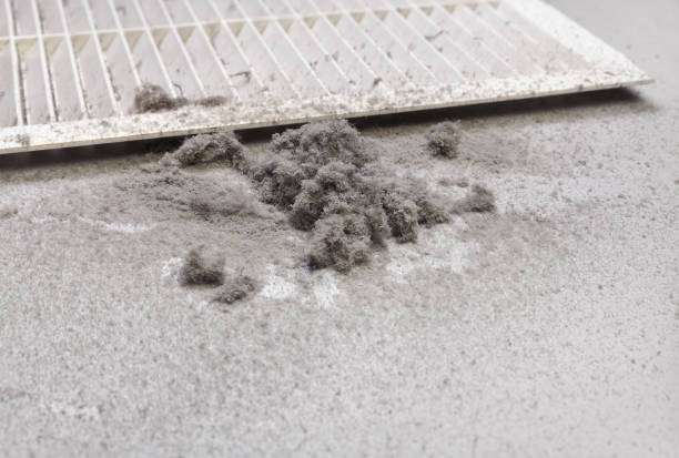 Best Local Air Duct Cleaning Services  in Sun Valley, NV